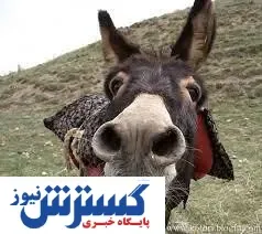الاغ ترین قاتل ایران در  اسفراین!