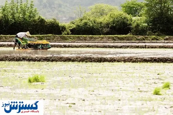 کشاورزی، تشنه‌ترین صنعت ایران