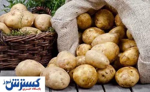 سیب‌زمینی به سبد خرید کارگران بازگشت !
