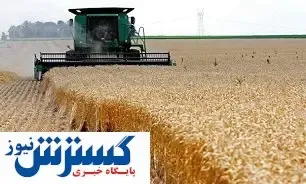 دولت چقدر گندم خریده؟