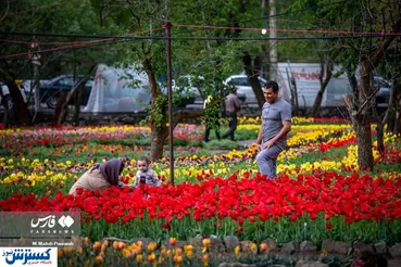 سفر مجازی به جشنواره دیدنی گل های رنگی + تصاویر