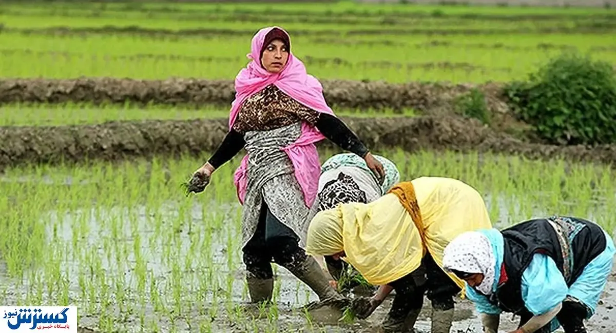 اقدامی به ضرر کشاورزان!