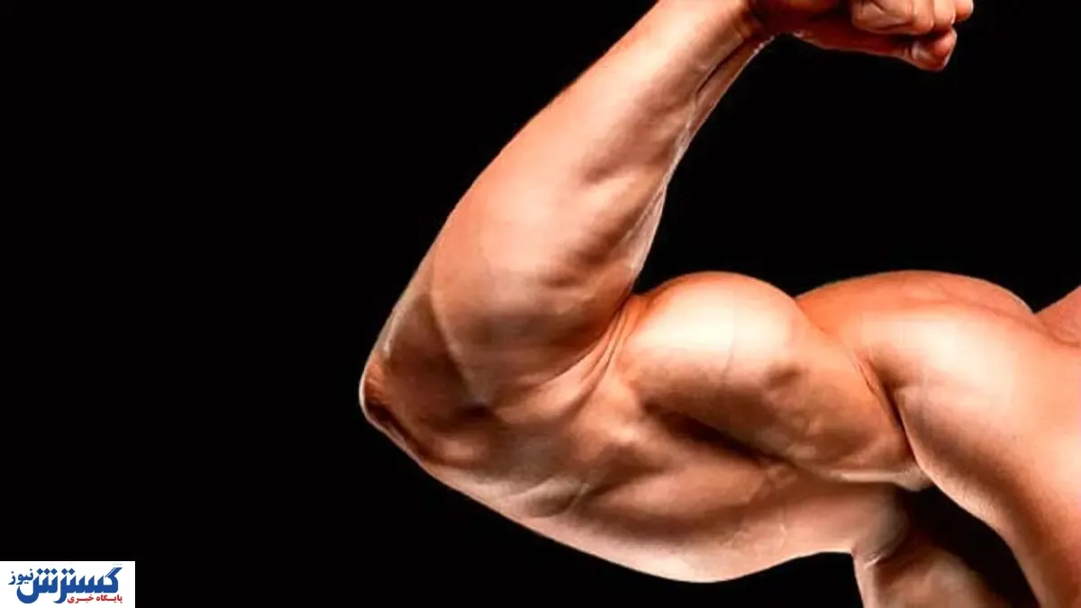 حکم سنگین برای ۲ بدنساز تیم ملی در اسپانیا + جزییات