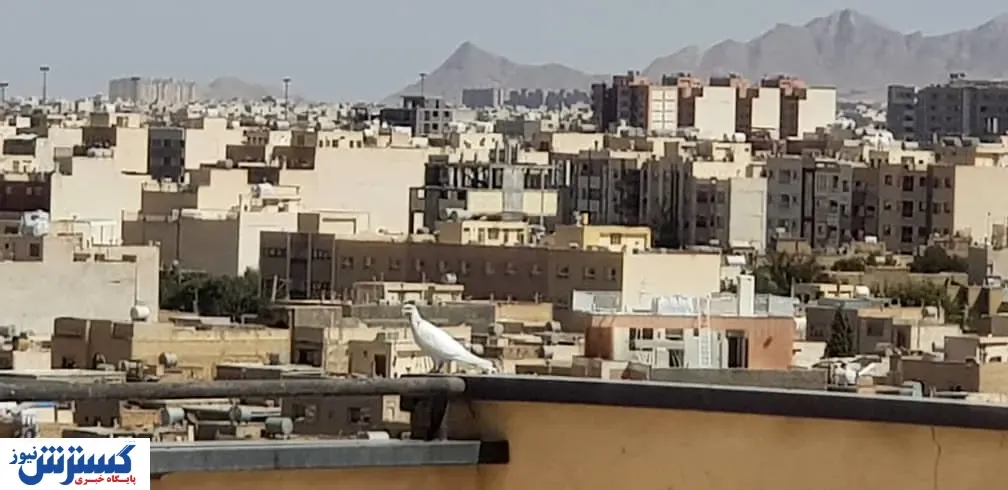 بازار آپارتمان‌های نقلی داغ شد!