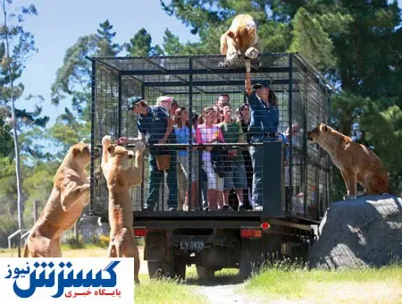 باغ وحش عجیبی که در آن انسان ها در قفس اند! + عکس