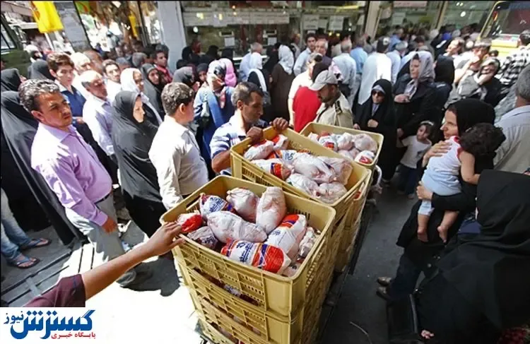 مرغ را گرانتر از این قیمت نخرید