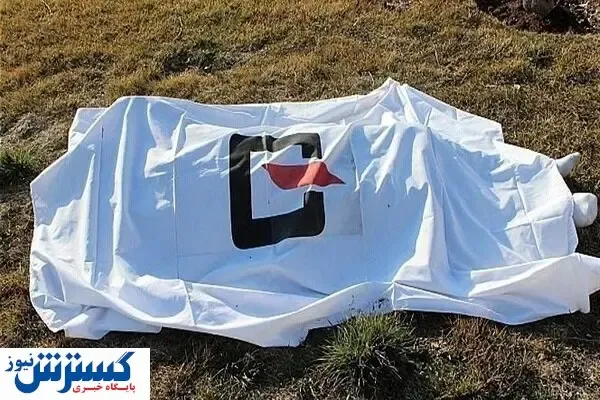 کشف جسد تیکه تیکه شده در جنوب تهران / ماجرا چیست؟