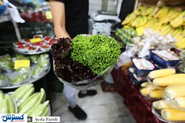 تصاویر/ طلایه‌‌داران پیشخوان میوه‌‌فروشی‌ها