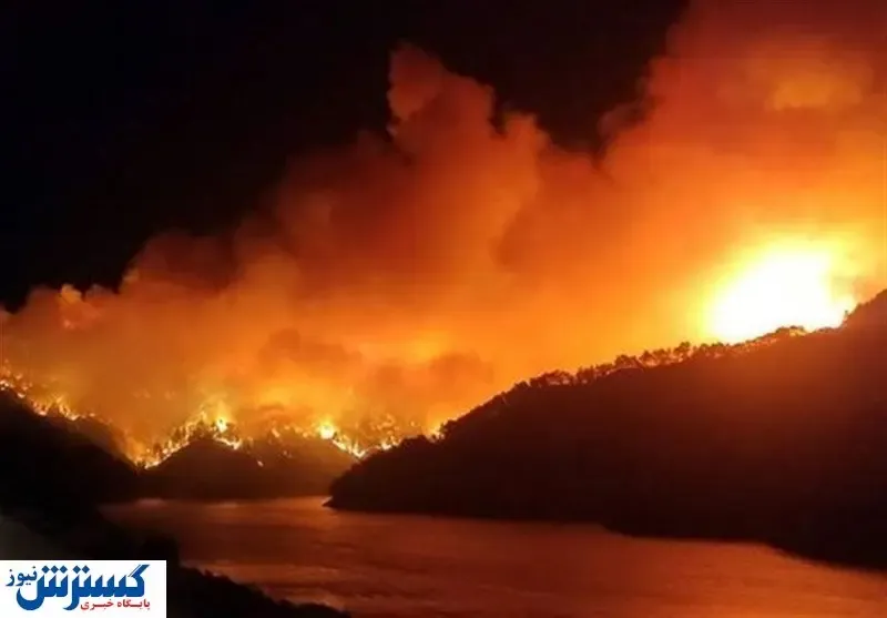 آتش‌سوزی گسترده در ترکیه+ فیلم