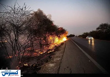 تصاویر/ آتشی که کشاورزان به پا کردند!
