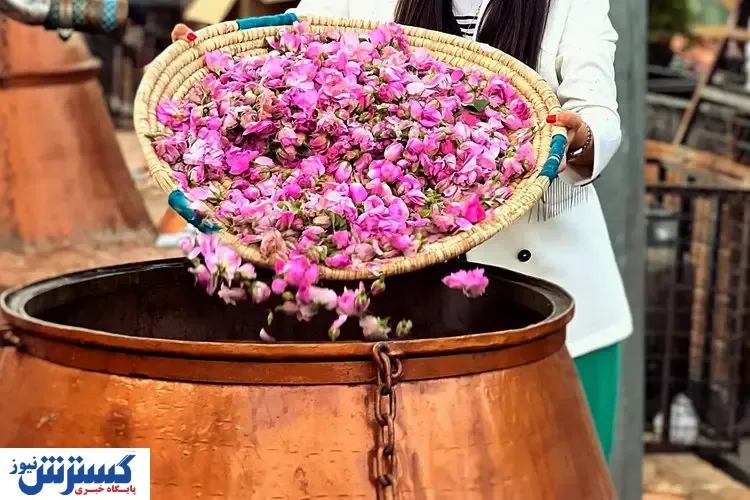 سفر یک روزه به بهشتی در دل کویر  / هزینه فقط ۸۵۰ هزار تومان