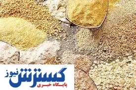 دورنمای صنایع خوراک دام و طیور