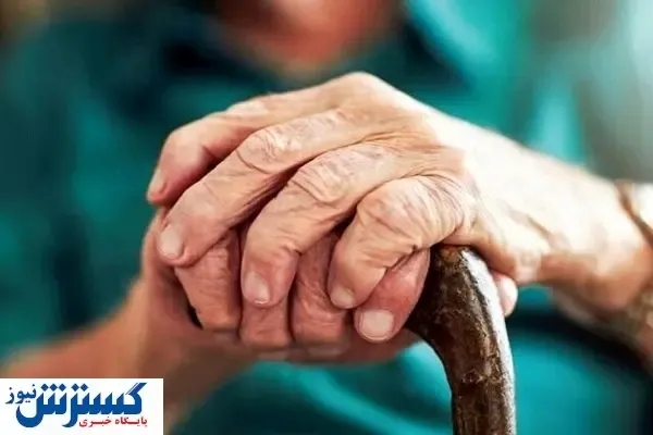 معضل کاهش نیروی کار با پیری جمعیت / راه حل چیست؟