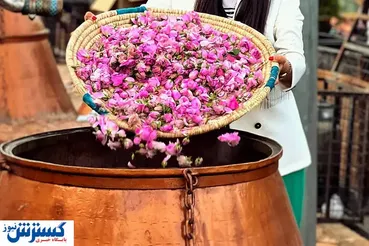 سفر یک روزه به بهشتی در دل کویر  / هزینه فقط ۸۵۰ هزار تومان