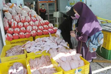 قیمت جدید مرغ در بازار مشخص شد