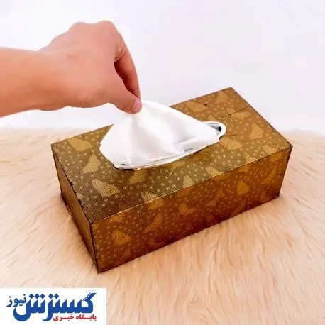 گرانی به جان دستمال کاغذی افتاد