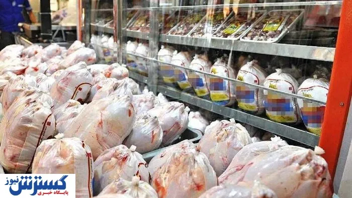 توزیع روزانه ۱۴۰ تن مرغ گرم برای تنظیم بازار