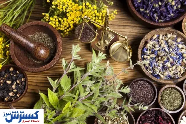 این داروهای گیاهی میلیونی به فروش می روند!