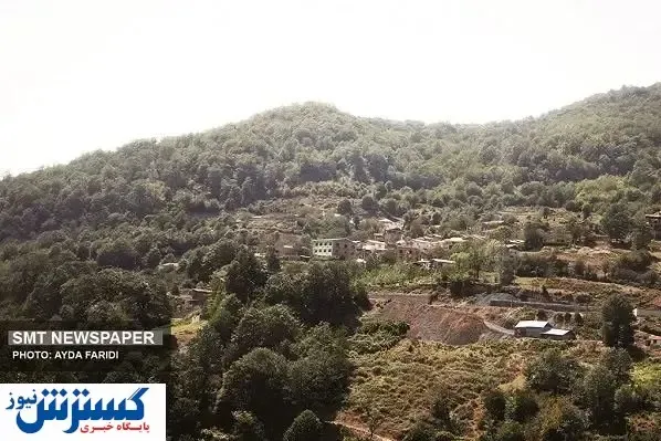 تـیـشه بر ریـشـه جـنگـل‌ها