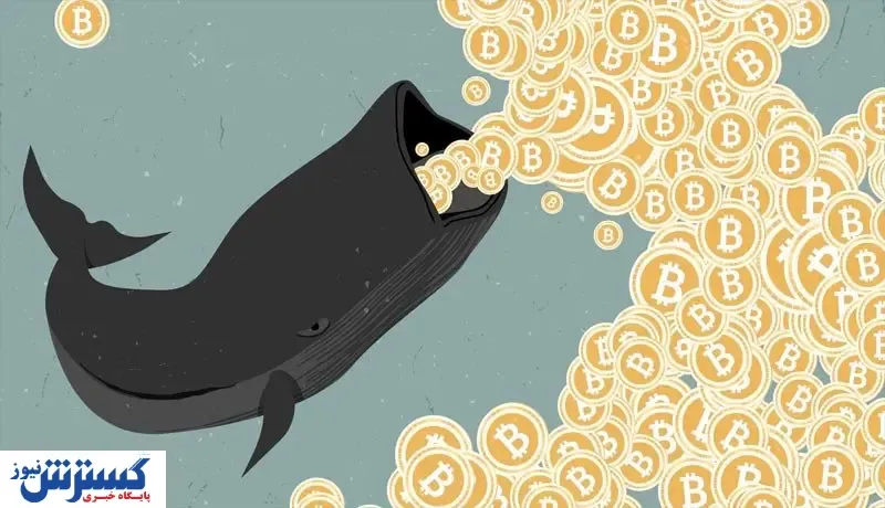 نهنگ خفته بیت کوین بیدار شد / بازار صعودی می شود؟