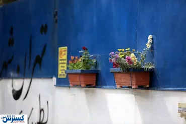 تصاویر/ تمام چیزهایی که رهایش کردی