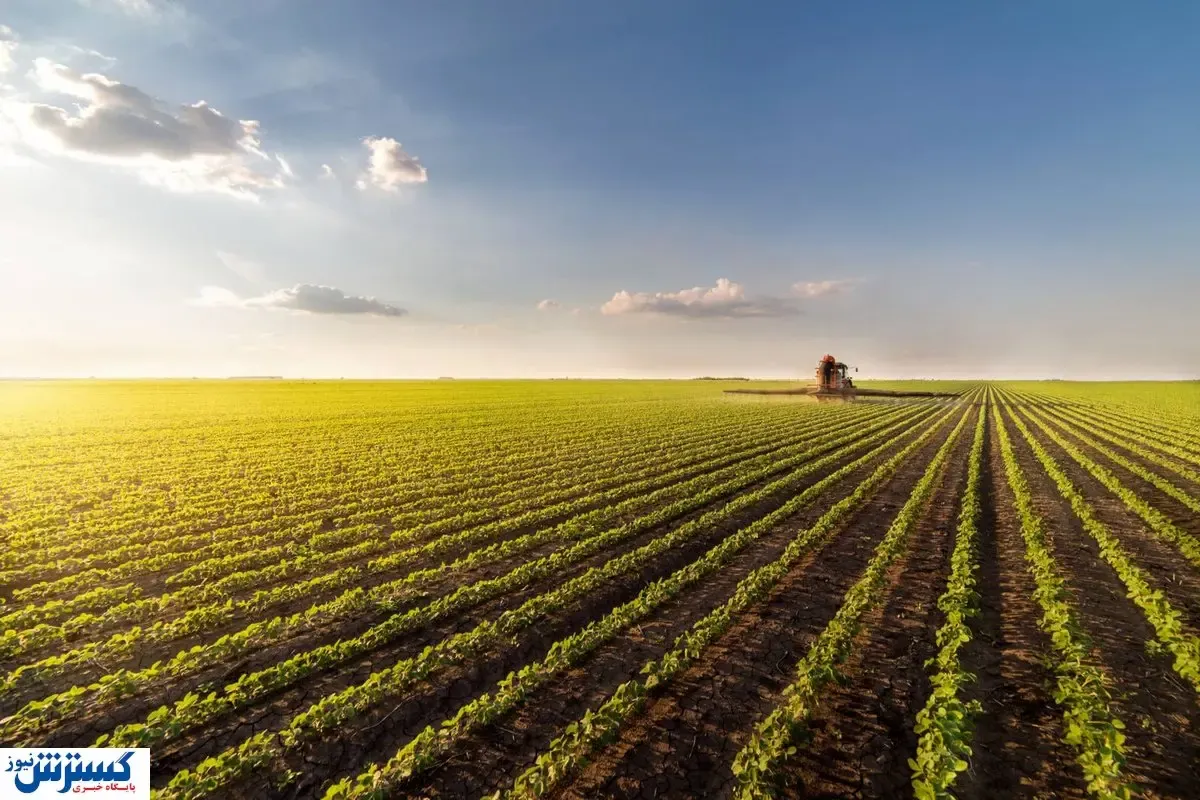 کشت دستوری نداریم / مدیریت منابع آبی در دستور کار مجلس