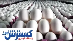 استان مرکزی سکاندار صادرات تخم‌مرغ
