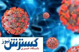 فوتی های کرونا دوباره ۲ رقمی شد(۲۴ تیر)