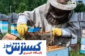 عسل، کام صادرات کشور را شیرین کرد