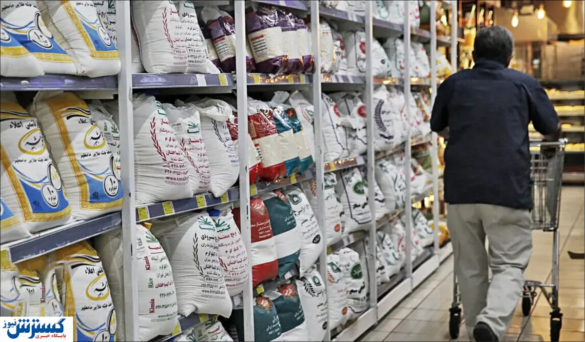 قیمت جدید انواع برنج در بازار (۱ فروردین)