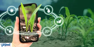 تحول از سنت به صنعت / دولت به داد کشاورزان می رسد؟