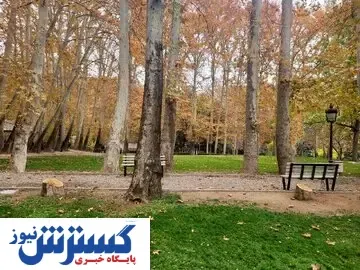 ماجرای قطع درختان سعدآباد به کجا رسید؟/مقصر اصلی شناخته شد