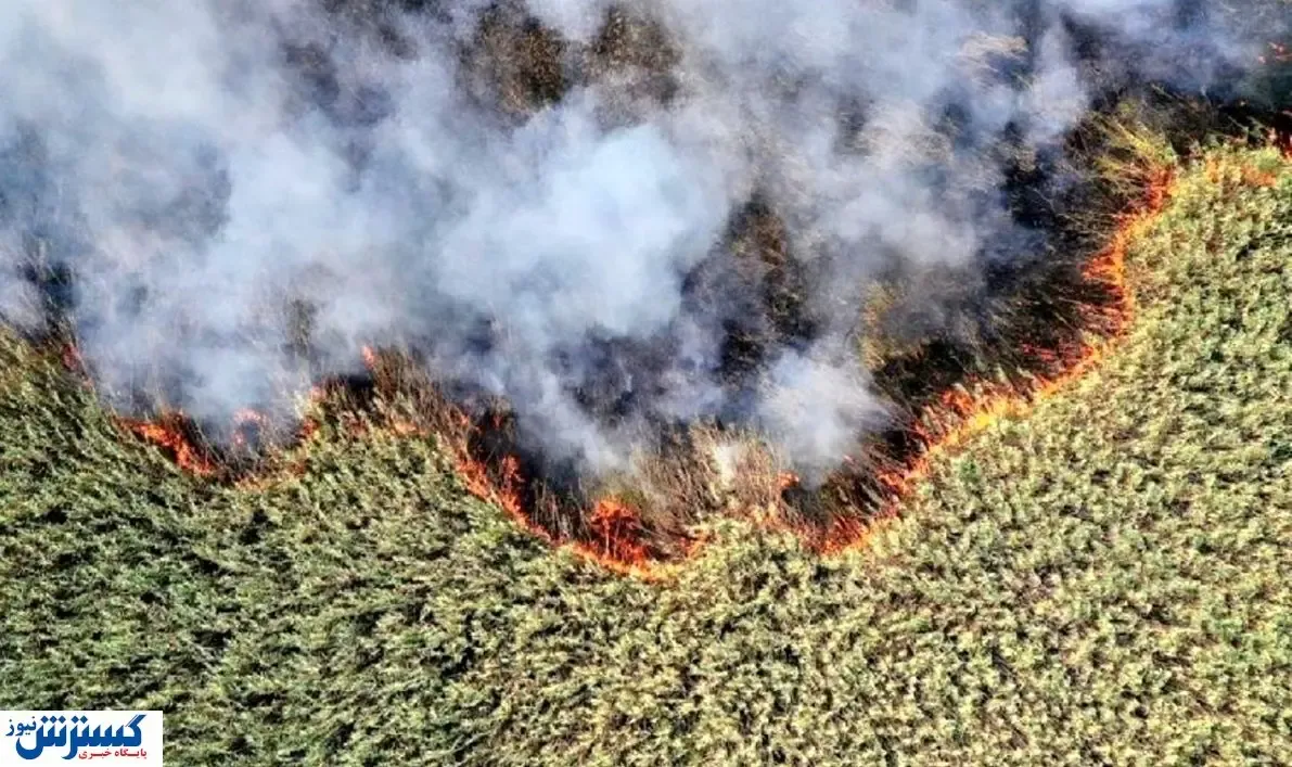 ادامه آتش‌سوزی تالاب هورالعظیم / قطعی اینترنت مشکل ساز شد