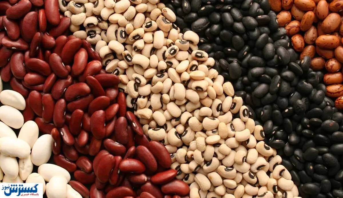 قیمت لوبیا شب عیدی افسار پاره کرد !