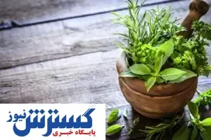 ضرورت تسریع در اجرای سند ملی گیاهان دارویی و طب‌ سنتی