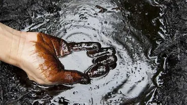 رشد اقتصاد آمریکا شوکه کننده شد؛ نفت قد کشید