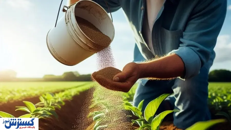 نقش کود در بهبود عملکرد و رشد محصولات کشاورزی