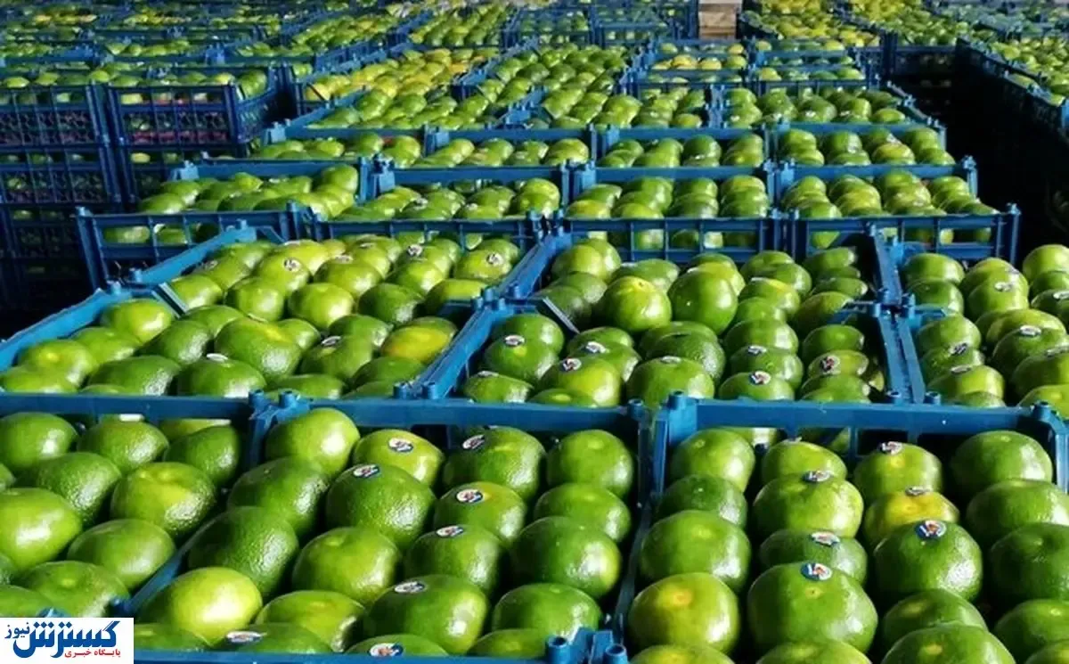 این نارنگی‌ها را نخرید!