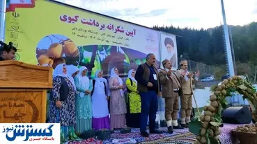 این استان پایتخت تولید کیوی در ایران است / برای ۳ هزار نفر اشتغالزایی شد