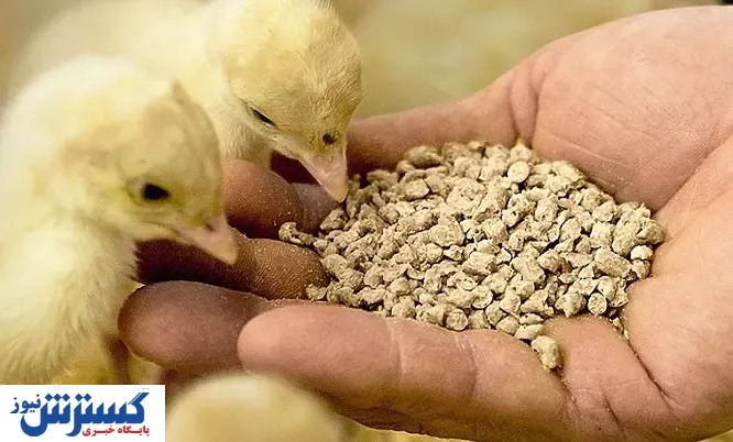 مخالفت قاطع تولیدکنندگان خوراک دام با ارز ۴۲۰۰ تومانی