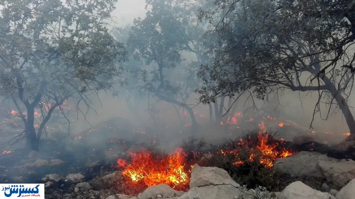 عاملان آتش‌سوزی جنگل‌های خائیز دستگیر شدند