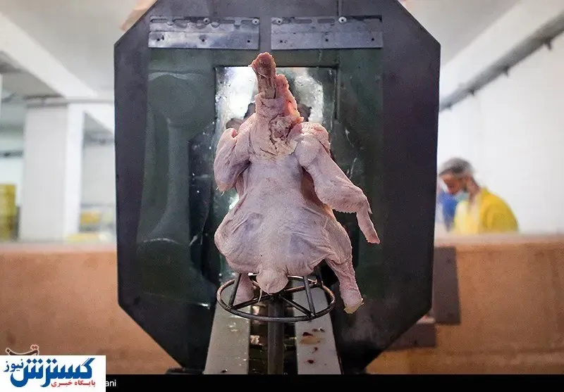 تصاویر/ استقبال مردمی از فراورده‌های گوشتی