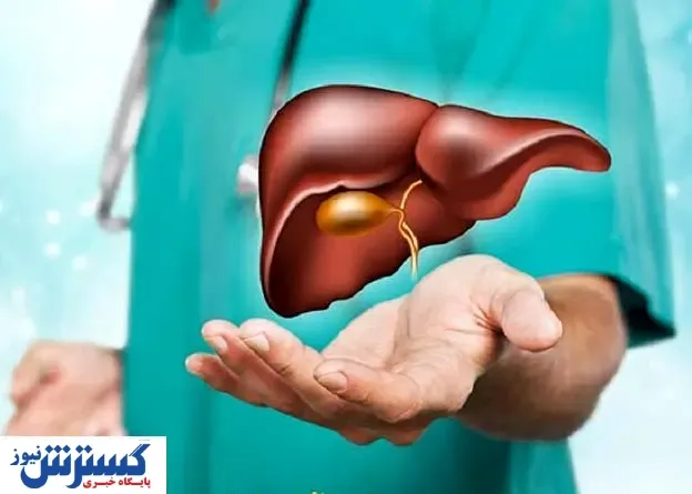 کبد چرب را با این خوراکی ها از بین ببرید / این عارضه دشمن سلامتی بدن