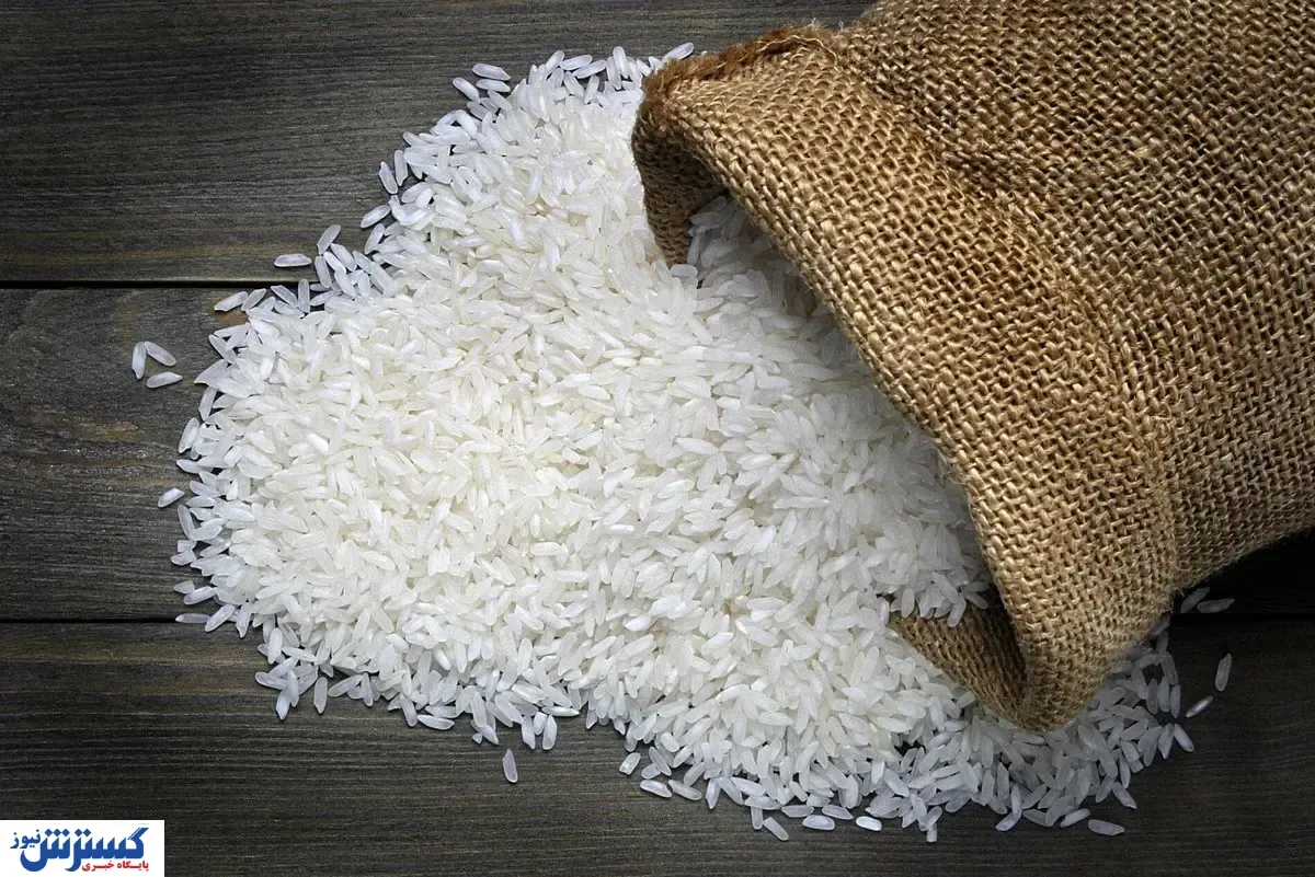 واکنش رسمی درباره قیمت برنج بالای ۳۰۰ هزار تومان اعلام شد