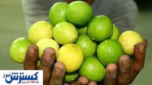 نسخه‌ی آبلیمویی برای افزایش رشد مو