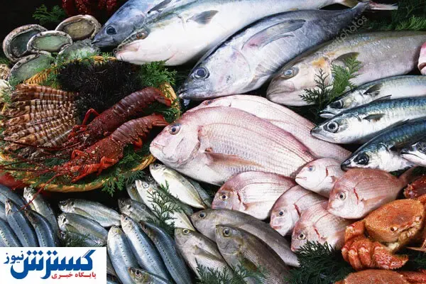 حرکت شیلات ایران به سوی اقتصاد دریامحور عملی شد