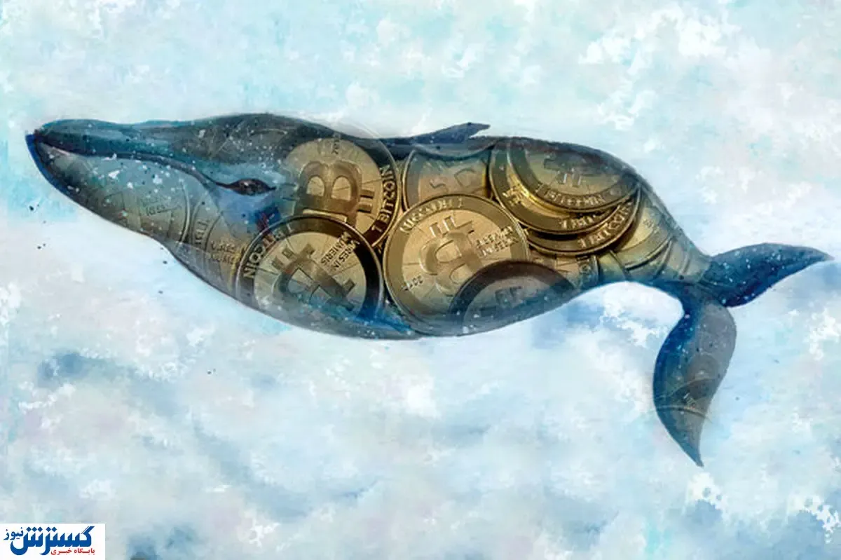 نهنگ‌ها به دنبال کدام ارزهای دیجیتال هستند؟