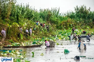 تصاویر/ صید ماهی برای جذب گردشگری