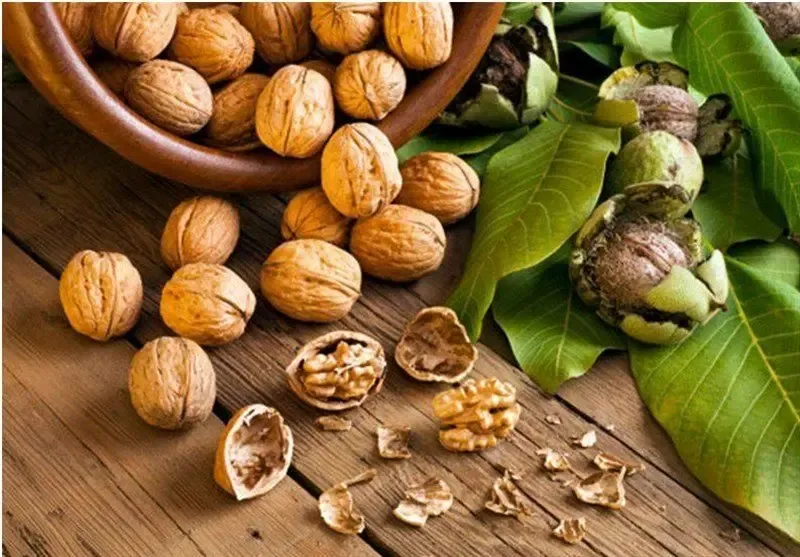 قیمت انواع گردوی تویسرکان در بازار + جدول