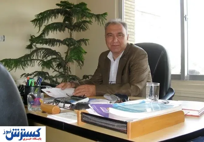 چرا صادرات تخم مرغ متوقف شد؟